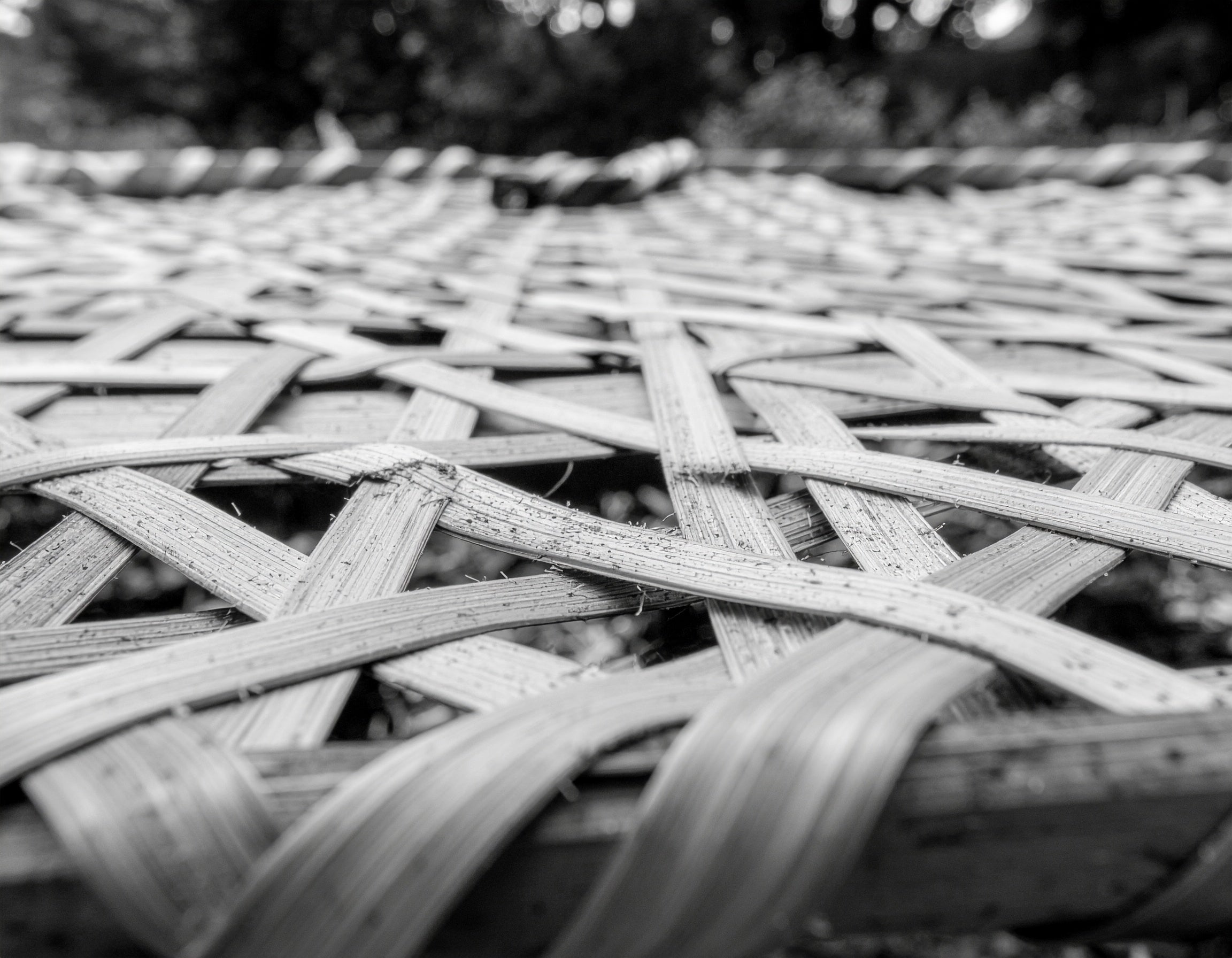 Weaving Future Through Heritage